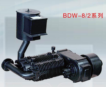 Compresseur d'air CAMC Swing 'BDW 8/2' non lubrifié