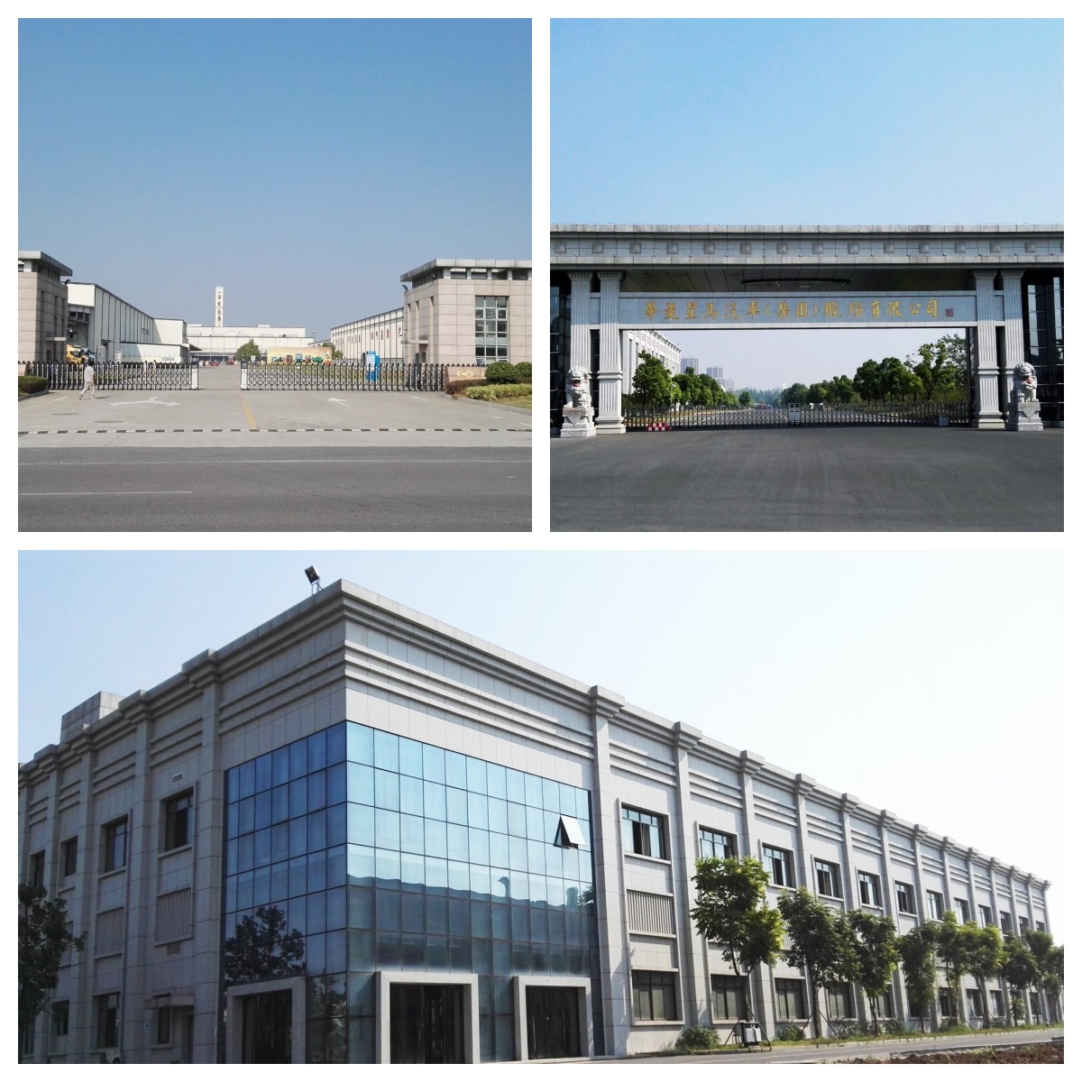 Profil de l'entreprise